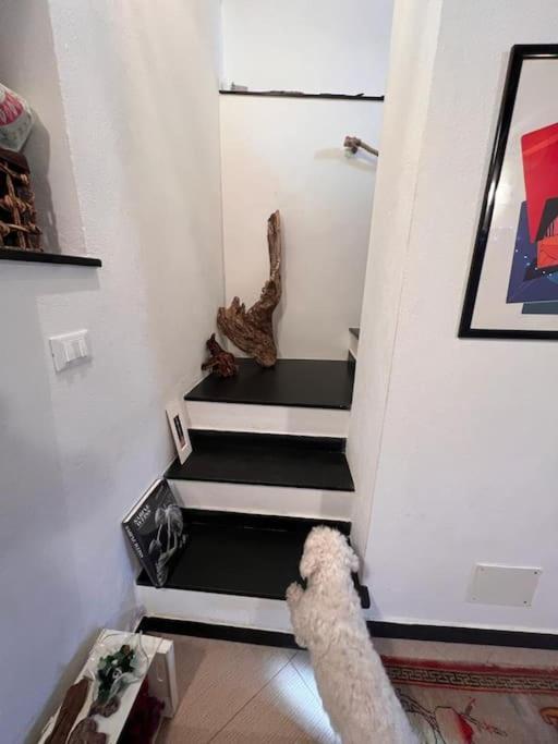 Casa Orri Quinto Mare E Gaslini Apartment เจนัว ภายนอก รูปภาพ